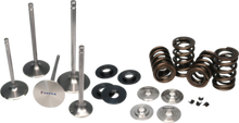 Load image into Gallery viewer, Ferrea 01-06 BMW S54 Dual Spring Kit