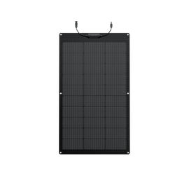 EcoFlow 100W Flexible Solar Panel