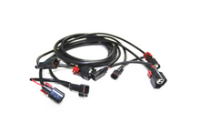 Load image into Gallery viewer, Big Gun Polaris RZR XP 4 1000 - 60in Extension Harness