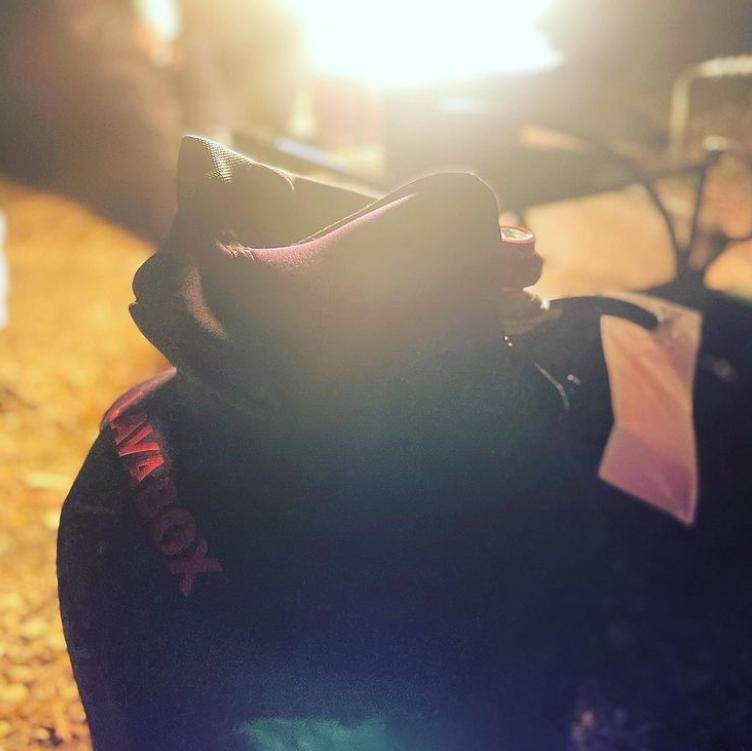 Burt's Tank Top: Insulating Propane Tank Cover