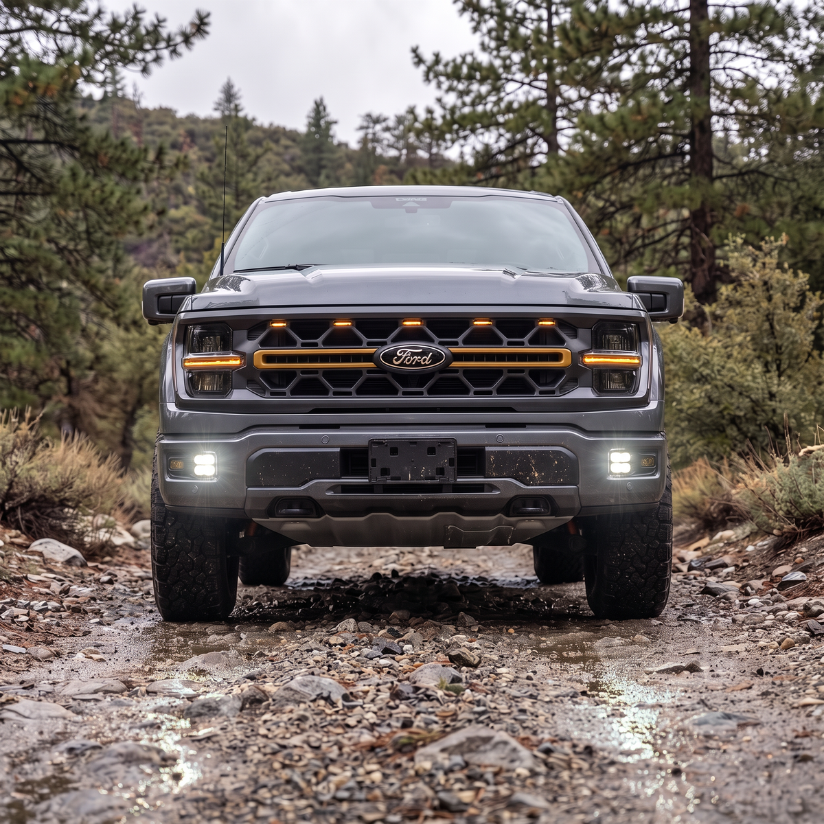 2024+ Ford F150 Tremor Standard Bumper Fog Light Kit