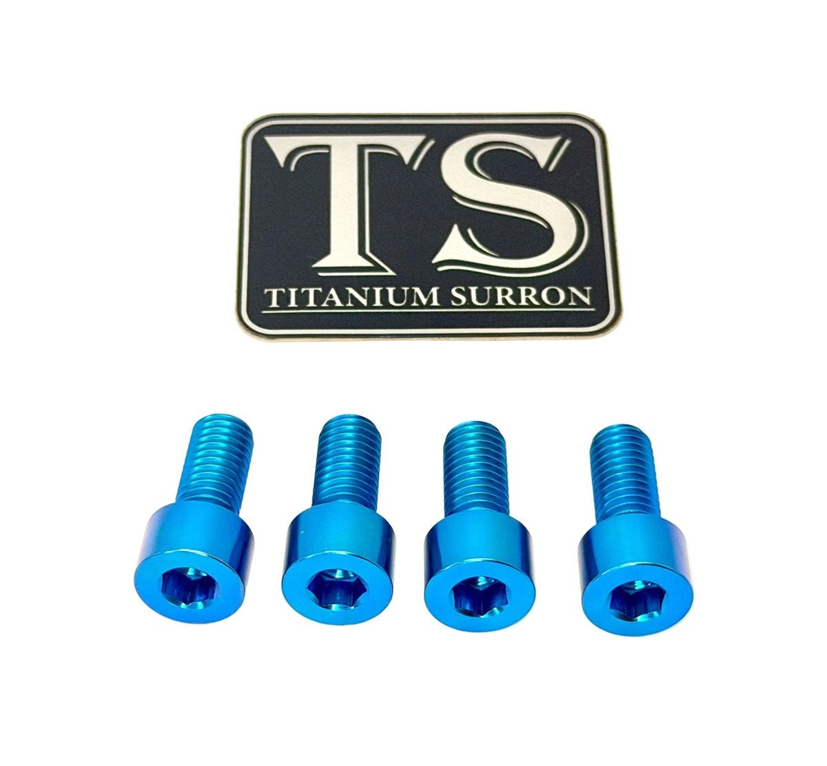 Titanium Bash Guard/ Skid Plate Bolts - E-moto