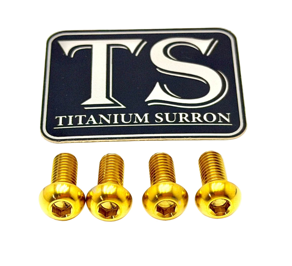Titanium Bash Guard/ Skid Plate Bolts - E-moto