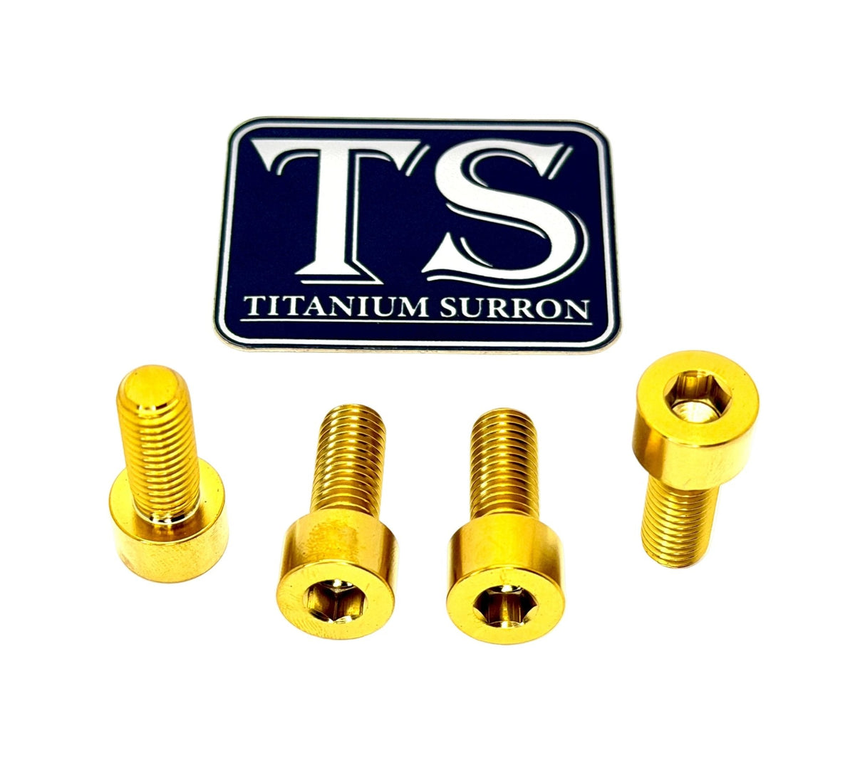 Titanium Bash Guard/ Skid Plate Bolts - E-moto