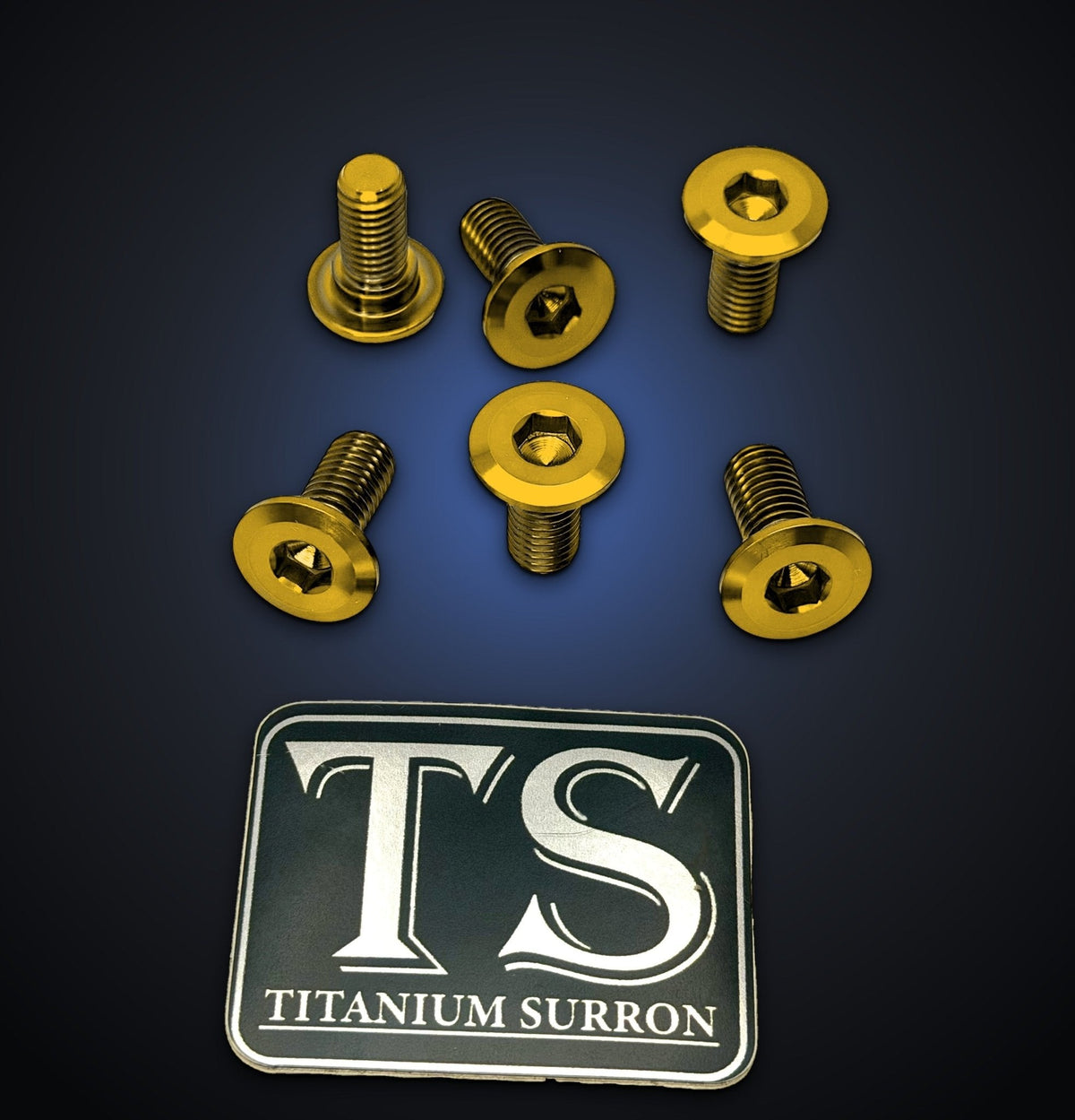 Titanium Front Rotor Bolts for Yozma IN10