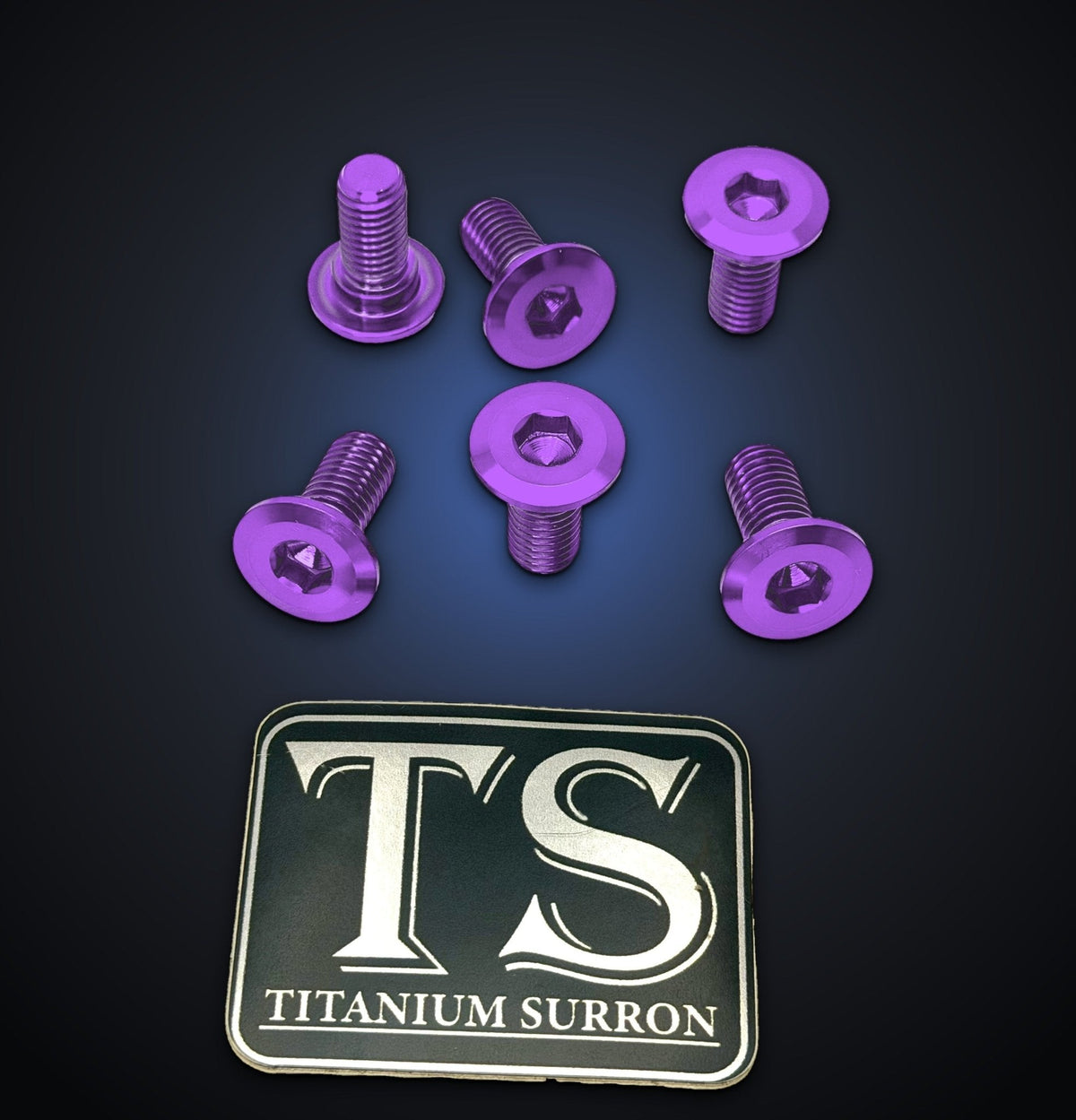 Titanium Front Rotor Bolts for Yozma IN10