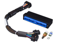 Load image into Gallery viewer, Haltech Nissan Silvia S13 (CA18DET) Elite 1000/1500 Plug-n-Play Adaptor Harness