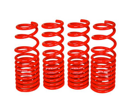 BLOX Racing Lowering Springs 16-21 Honda Civic Coupe/Sedan Base/Si (Excl. Type-R)