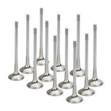 Load image into Gallery viewer, Supertech BMW N54 28mm (STD) Inconel Exhaust Valve - Set of 12 (Use w/ locks KPR-6S/7)