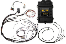 Load image into Gallery viewer, Haltech Elite 1500 Terminated Harness ECU Kit w/ Square EV1 Injector Connectors